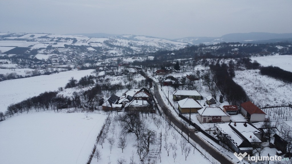 Casa cu Anexe, Gradina + 2Ha Terenuri