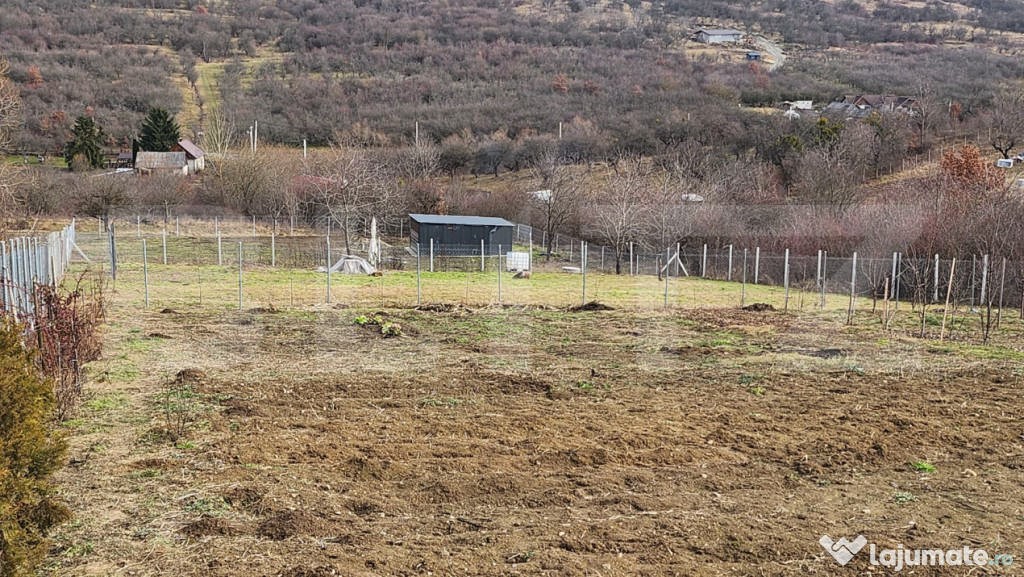 Teren extravilan,10 arii,Dealul Targului