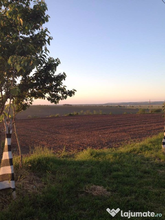 Teren 6750 mp, zona Beresti Bistrita