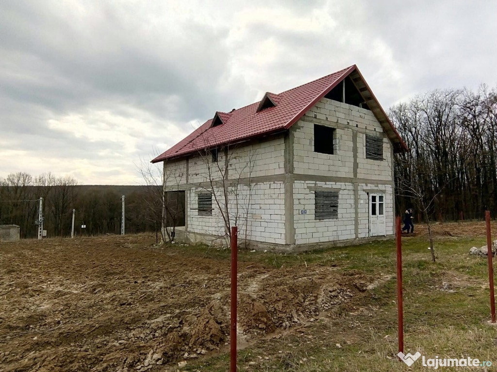 Casa in Drislea(Trusesti) Jud.Botosani