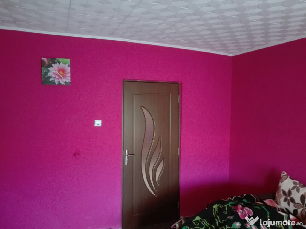 Execut lucrari de calitate