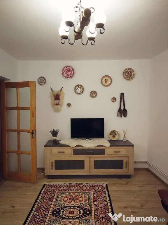 Apartament 3 camere Daria in Centrul Statiunii Targu-Ocna