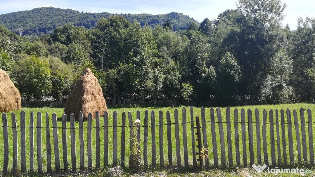 Teren 1067mp Valea Doftanei, cu iesire la raul Doftana