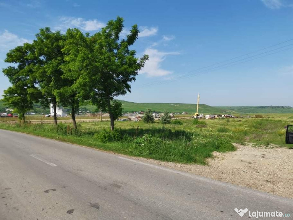 Teren Lețcani 2500mp