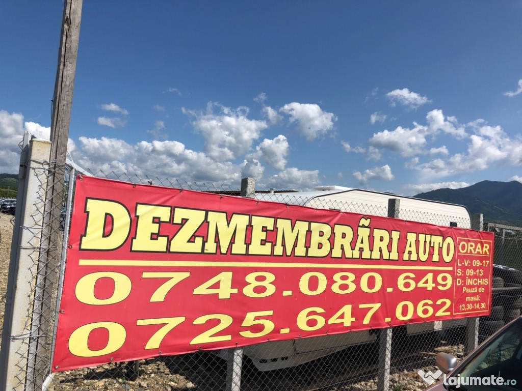 DEZMEMBRĂRI AUTO ALEX