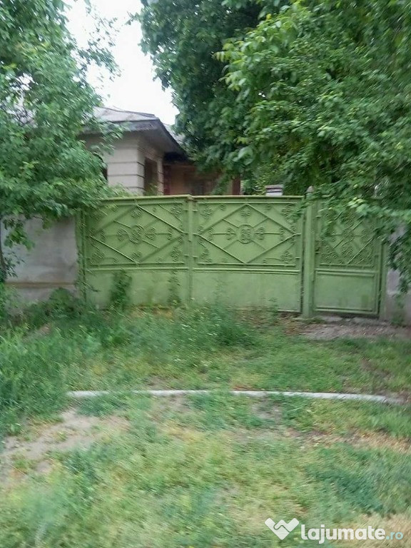 Casa 6 Camere in Sat Maluri/Vulturu/Vrancea, balta Leica