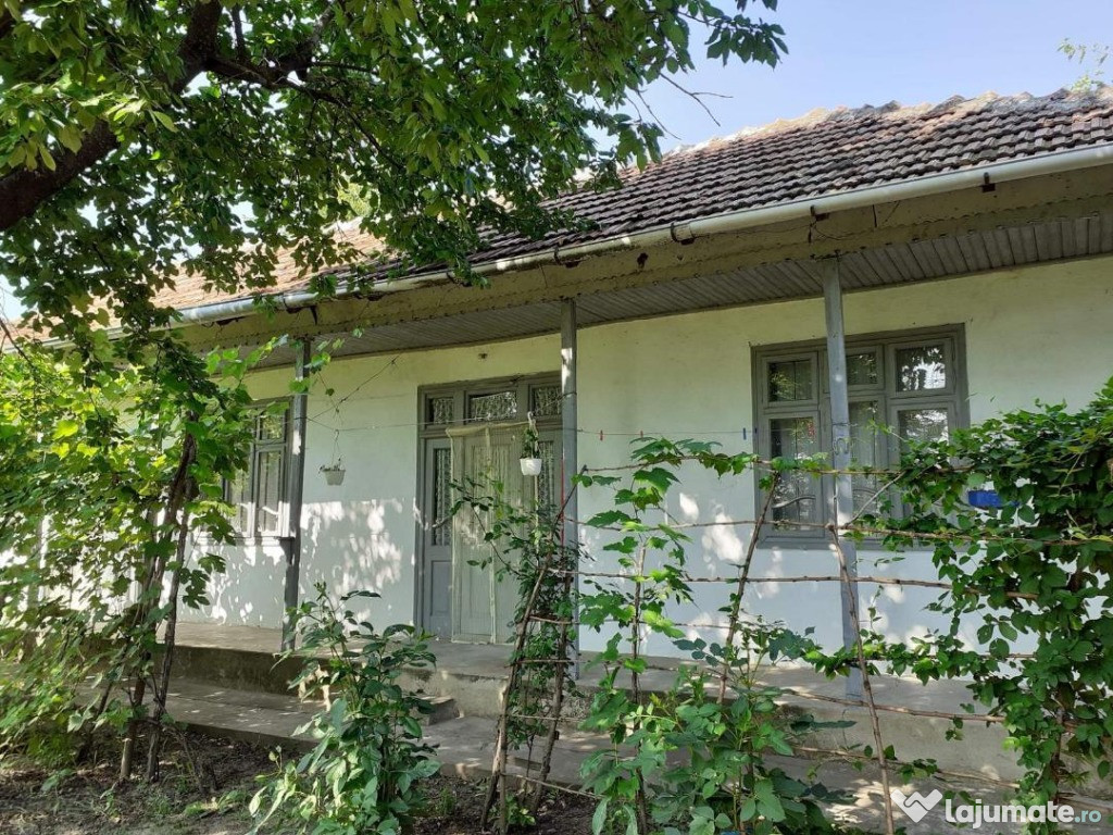 Casa in localitatea Carja,judetul Vaslui