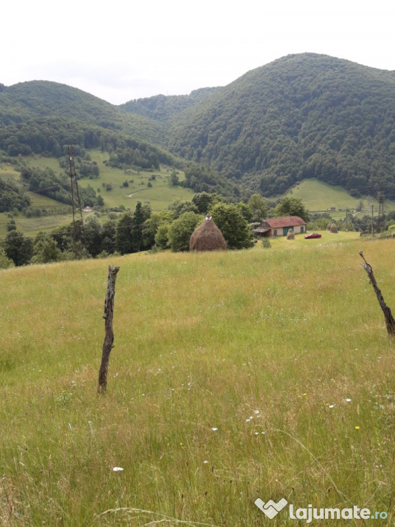 Teren intravilan loc bun pentru pensiune in remeti 3200mp