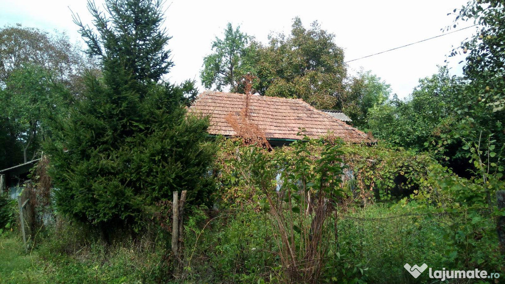 Casa in Dobrovat-Pahomia