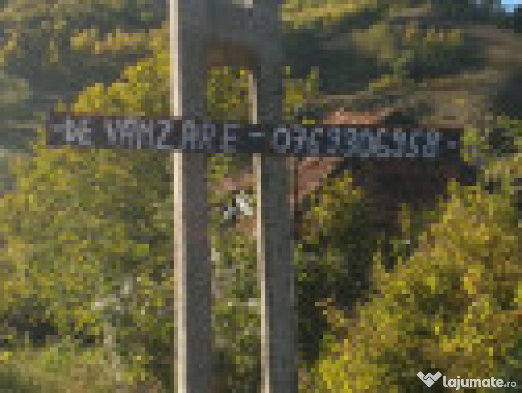 Teren intravilan