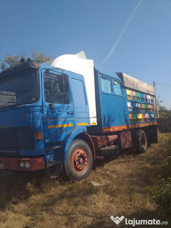 Camion apicol