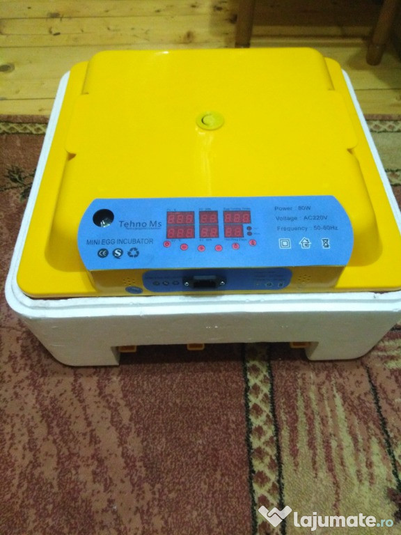 Incubator automat