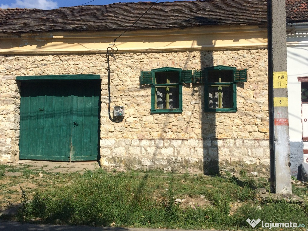 Casa de vacanta in satul artistilor Socolari