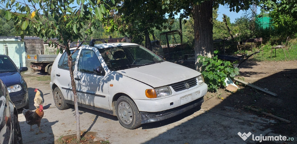 Ce polo