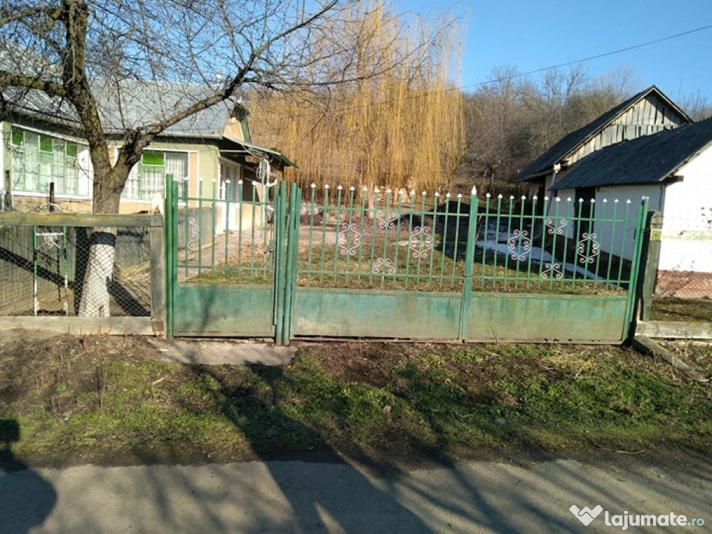 Casa + gradina, Cehalut