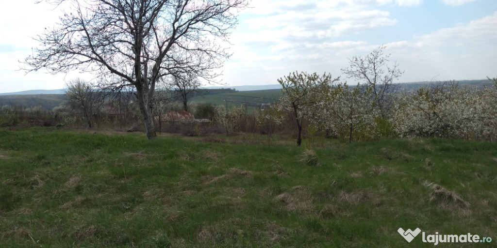 Teren intravilan pentru casa la 5 km de Iasi