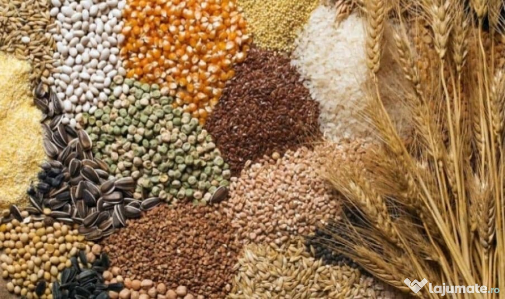 Hrana Animale * Tarata de grau * Agrovita * Malai