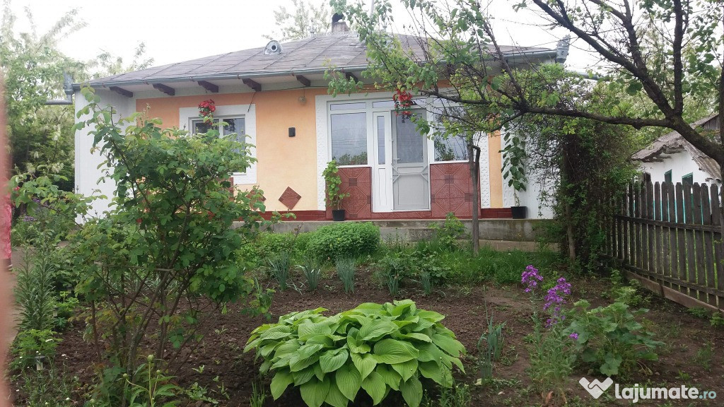 Casa in sat Paltiniș,com.Darabani,jud.Botosani