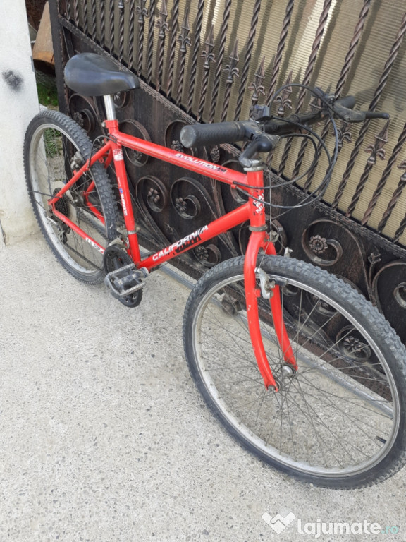 Bicicleta