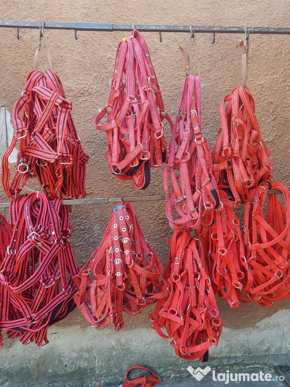 Capastre banda