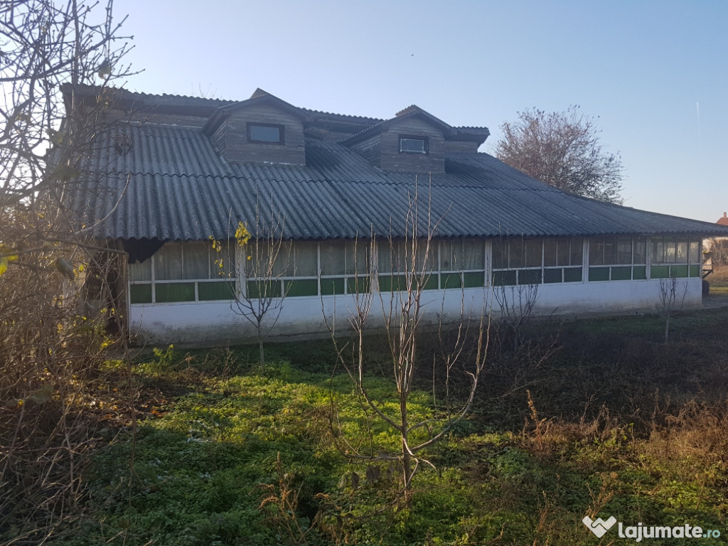 Casa cu teren 6500mp, Curcani, Calarasi