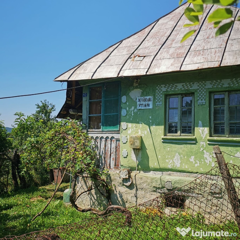 Teren plus casa 2500mp Vladuceni,Păușești Măglași,Al Teilor
