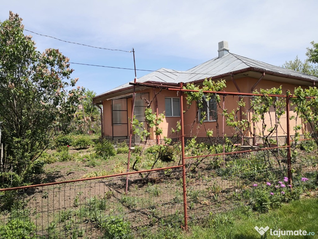 Casa Ion Roata-Ialomita