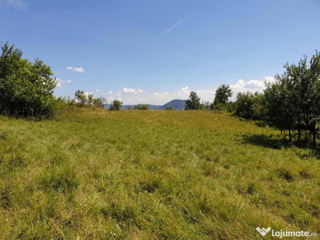 Teren in Ormindea, jud. Hunedoara