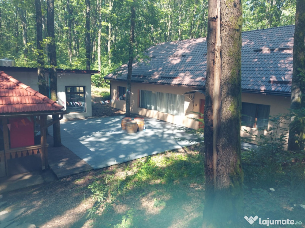 Domeniu pădure cabană spa