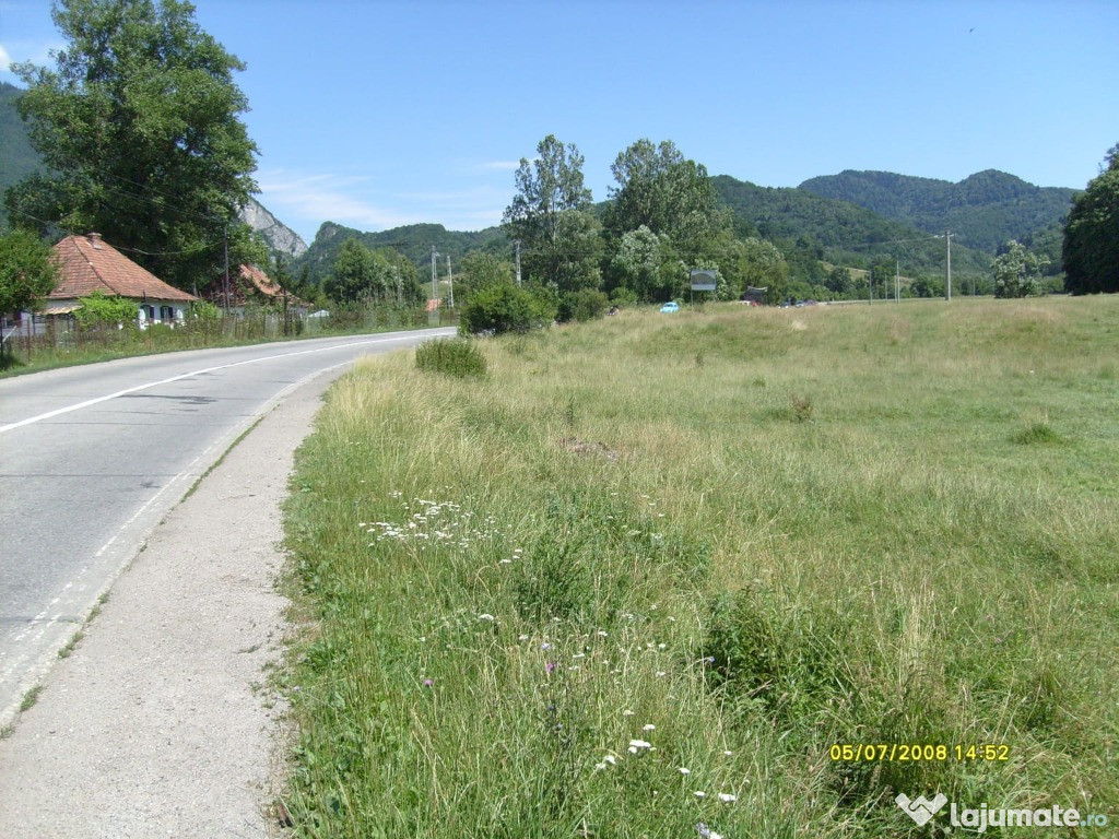 Teren 10000mp, toate utilitățile