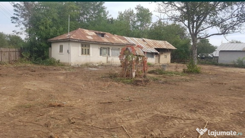 Casa si Teren in Ologeni, com. Poienarii Burchii, Prahova.