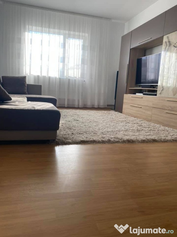 Cabana de inchiriat Valea Chioarului