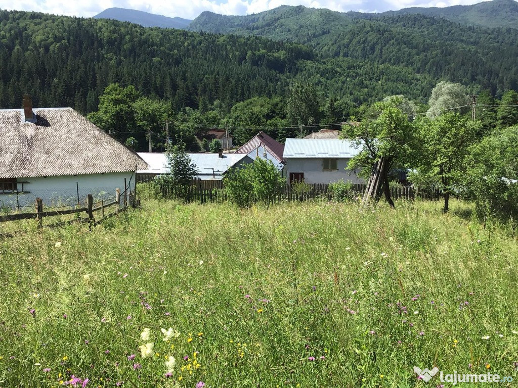 1 Teren Intravilan cu Locuință & Anexă Greșu Lepșa-Tulnici