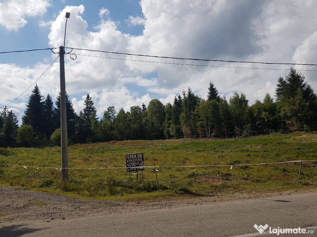 Teren intravilan 4200m cu CF la 3 km de Belis Cluj