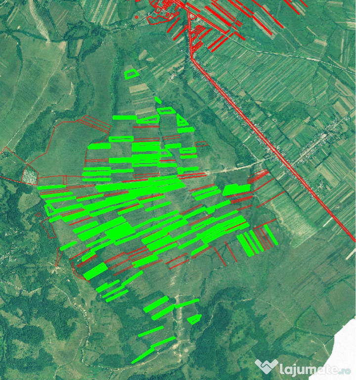 100 hectare teren arabil Pomi - Borlesti Satu Mare