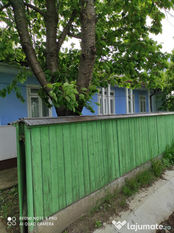 Casa cu gradina -Blandesti