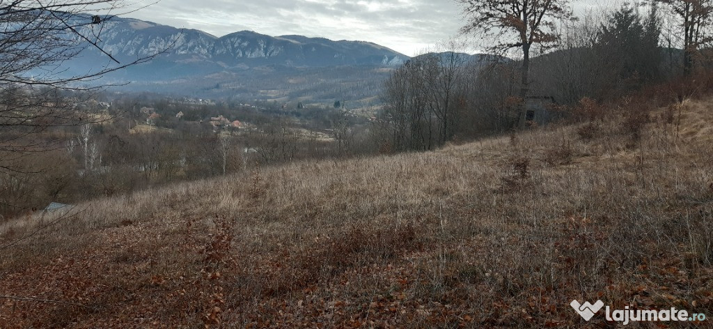 Teren pentru cabana cu panorama