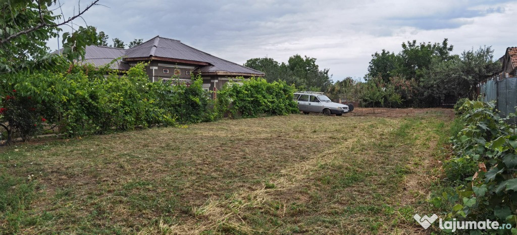 Casa Dridu, 50 km de Bucuresti