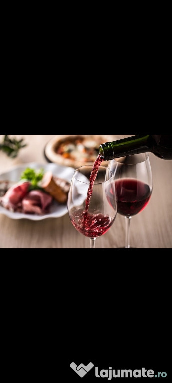 Vin din Vita Nobila - Merlot