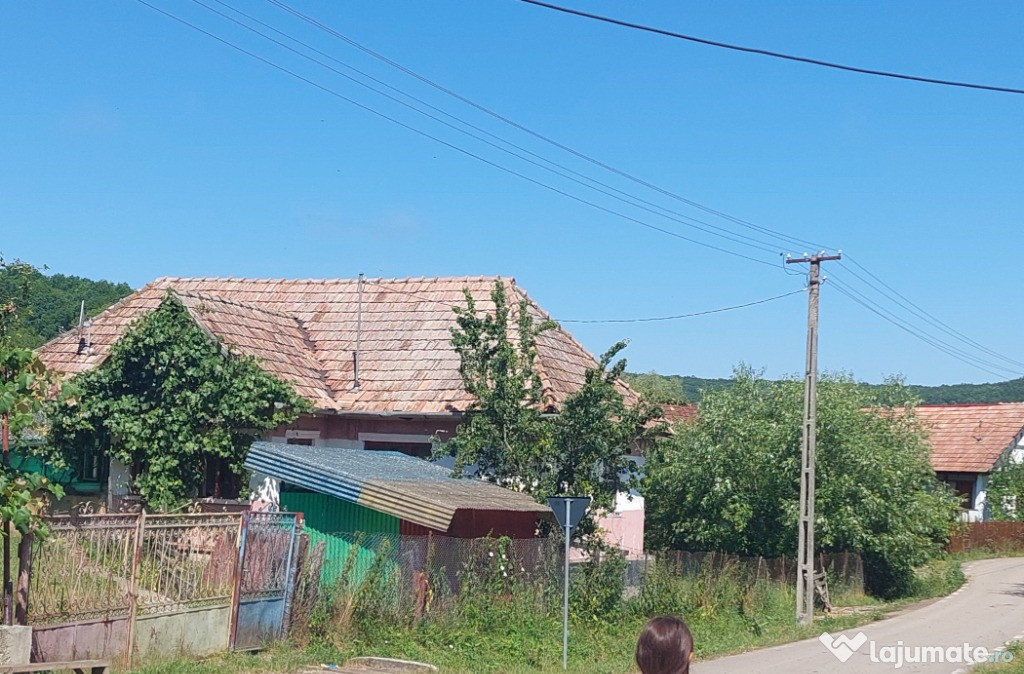 Casa la tara cu gradina si livada in sat Mierta nr.62 Salaj