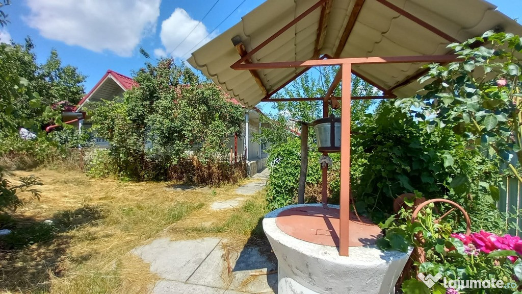 Casa + anexa + curte + livada + vie + 2 fantani, Siscani
