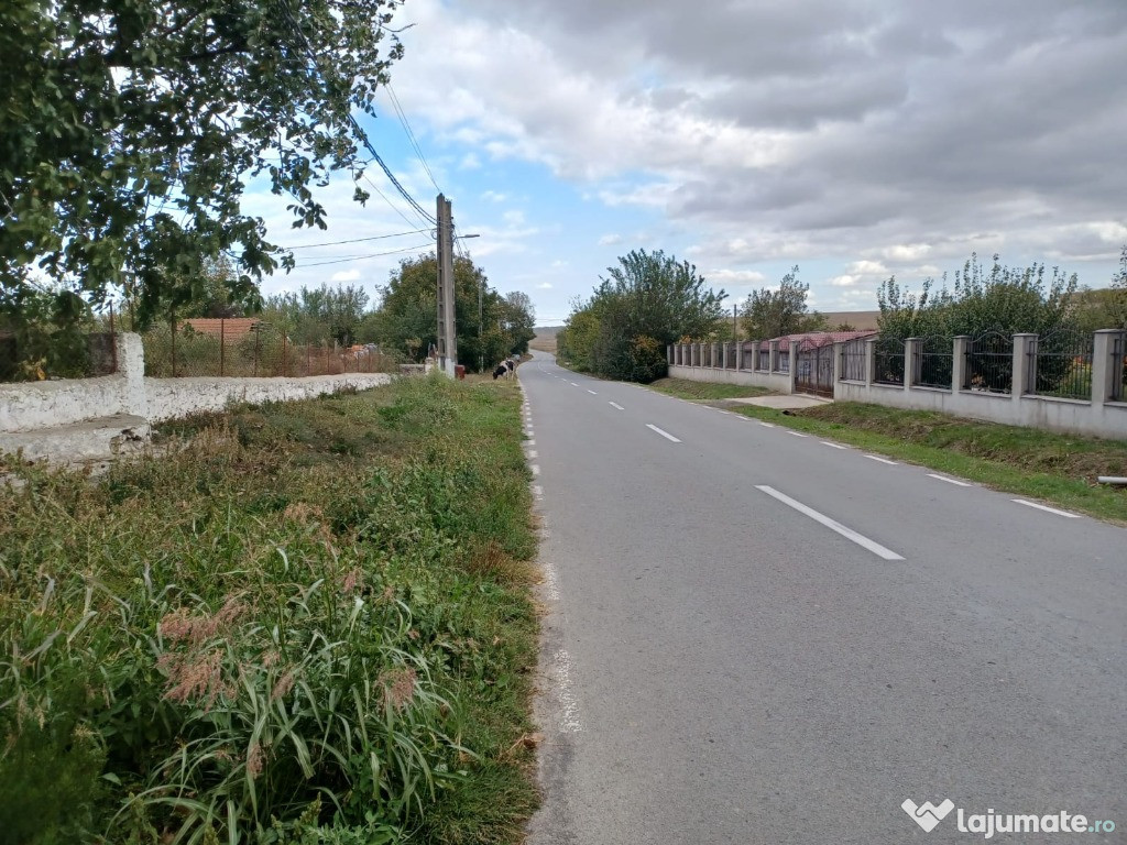 Casa Cu Teren 4340 mp la strada principala Ciobanita