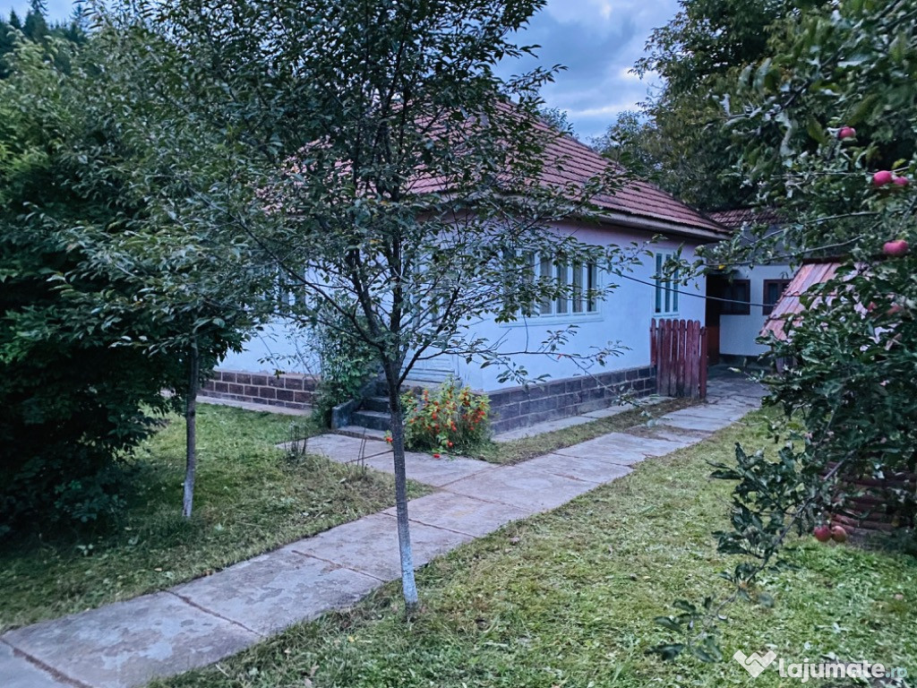 Casa și teren Brusturoasa, Bacau, la poalele pădurii