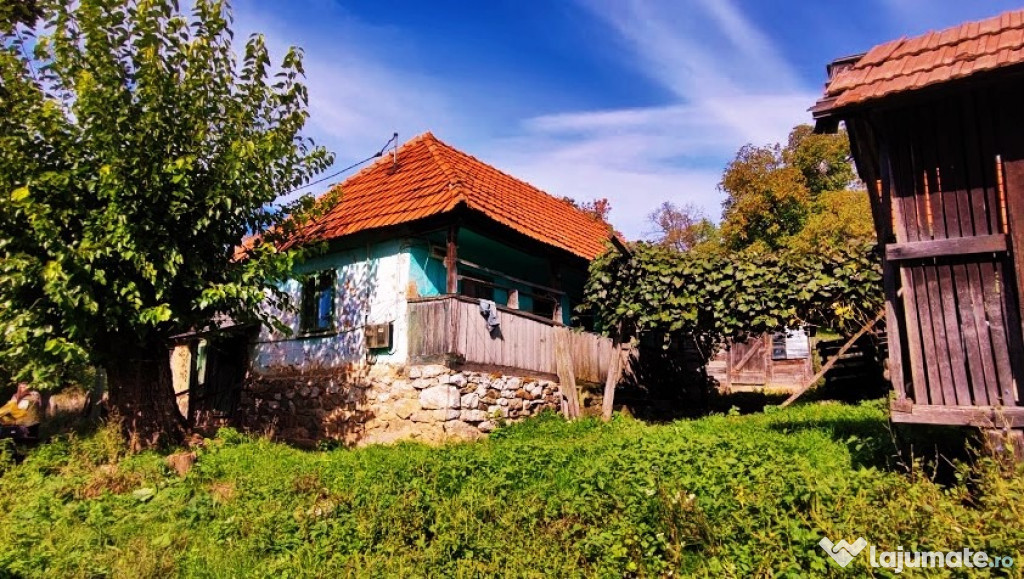 A. Apuseni Casa din piatra si lemn,3 camere, trifazic,49mp