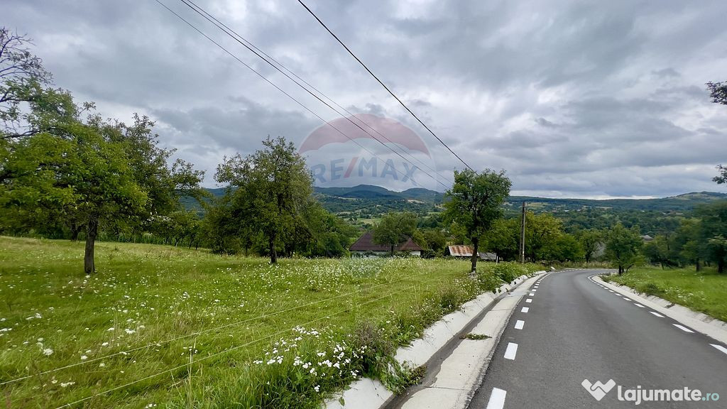 Teren de vanzare-ZONA PITOREASCA CU PRIVELIȘTE