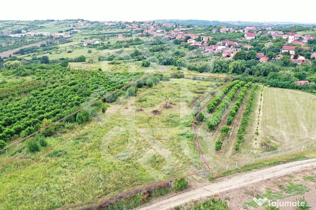 Teren intravilan de in Saldabagiu de Munte