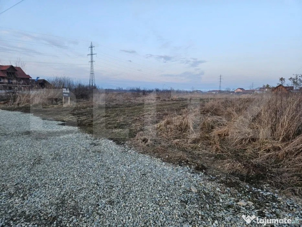 Teren intravilan, 2450mp, zona Carbesti