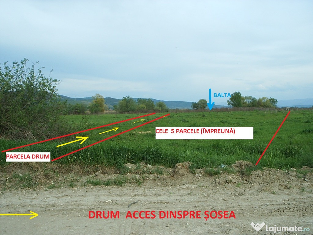 Teren 2480mp la balta Bălata si langa Mureș 12 km de Deva