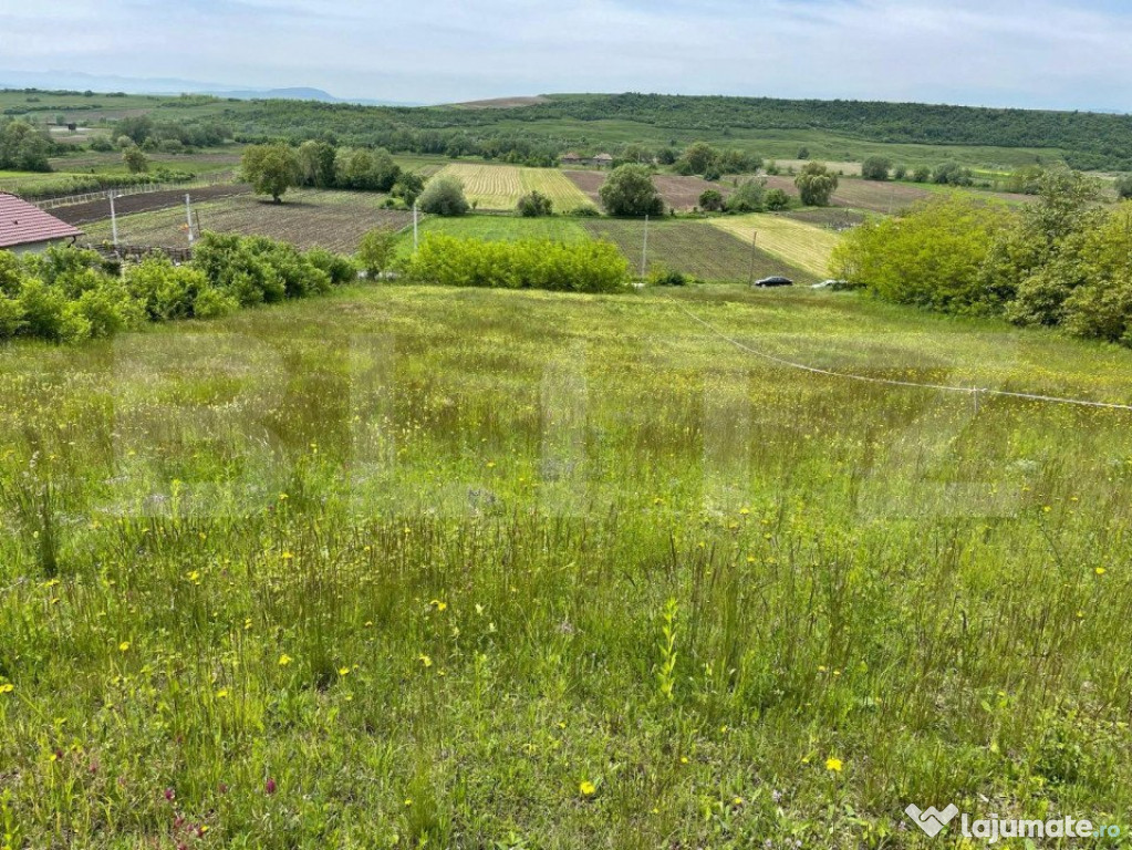 Teren intravilan 7774 mp, zona Teiuș - Stremț