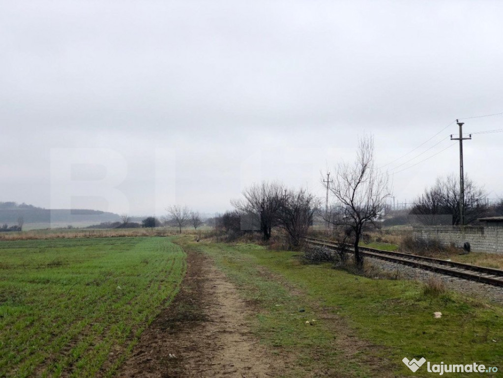 Teren intravilan pretabil parc fotovoltaic, 41.000 mp, Ișal